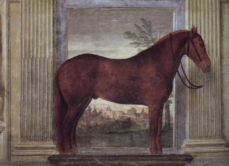 Giulio Romano Drawing-rooms dei Cavalli Norge oil painting art